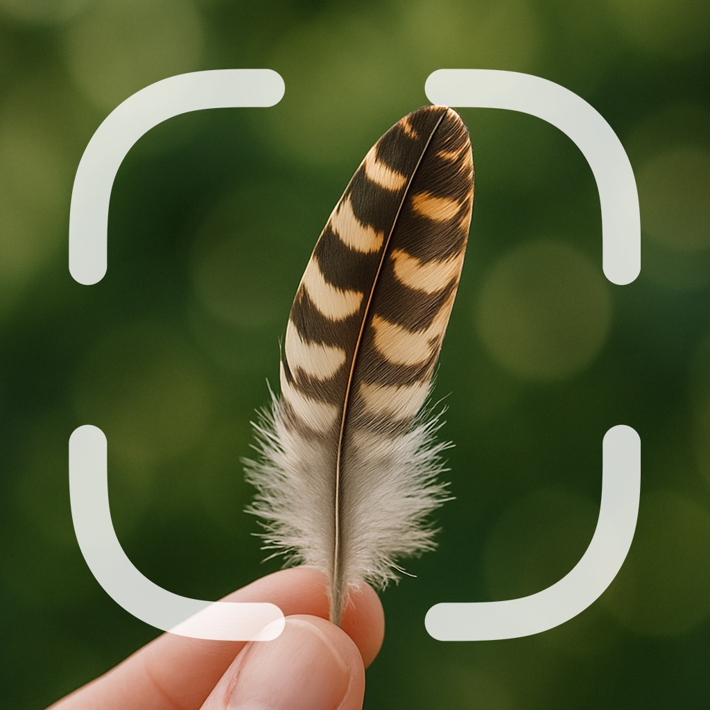 Feather Identifier app icon